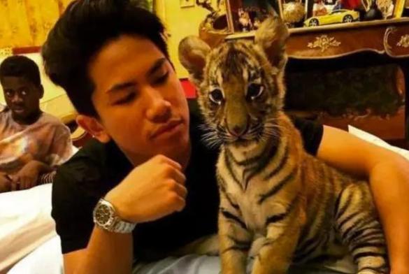 文莱最帅王子个人资料,文莱最帅的王子是谁