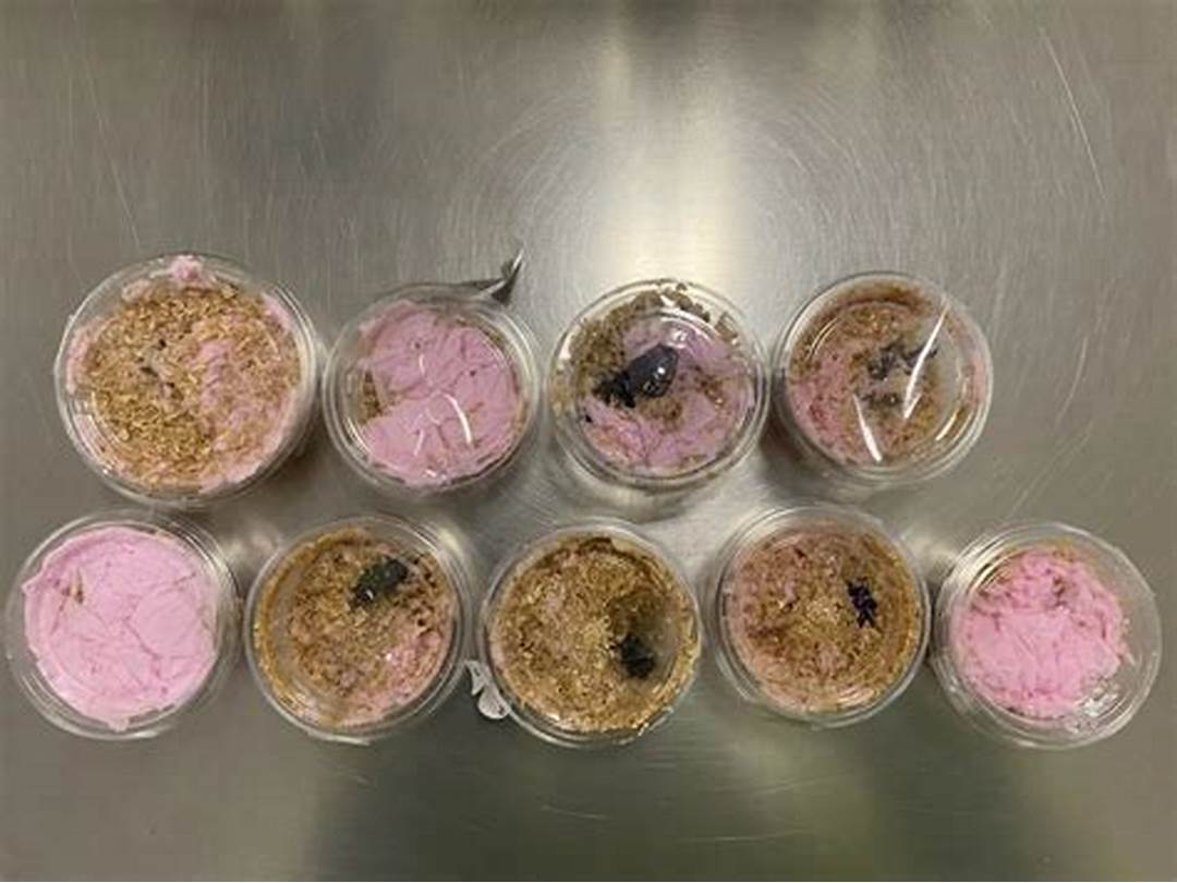 黄金鬼锹甲有多可怕,黄金鬼锹形虫危害