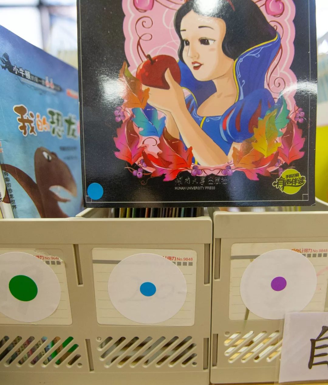 大班新学期环境创设实施方案,大大的小小的主题活动及环境创设