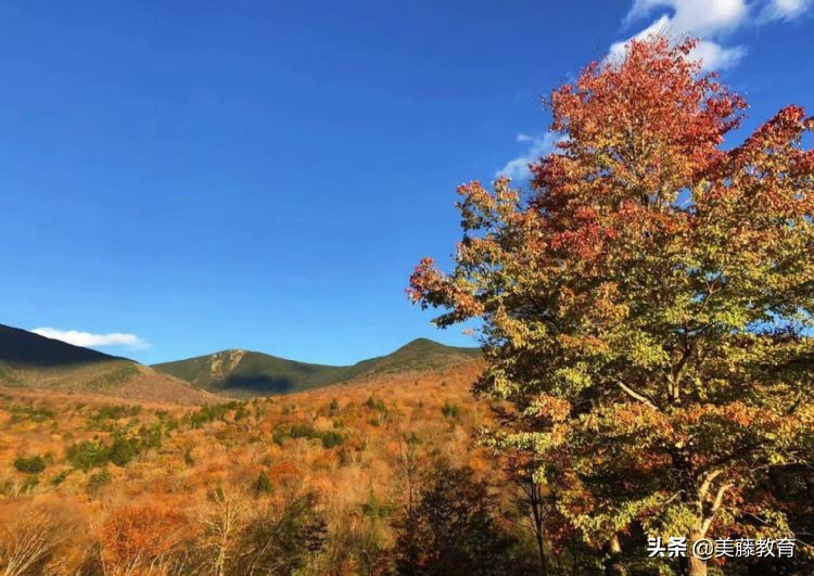 富兰克林马歇尔学院世界排名,英国马歇尔学院怎么样