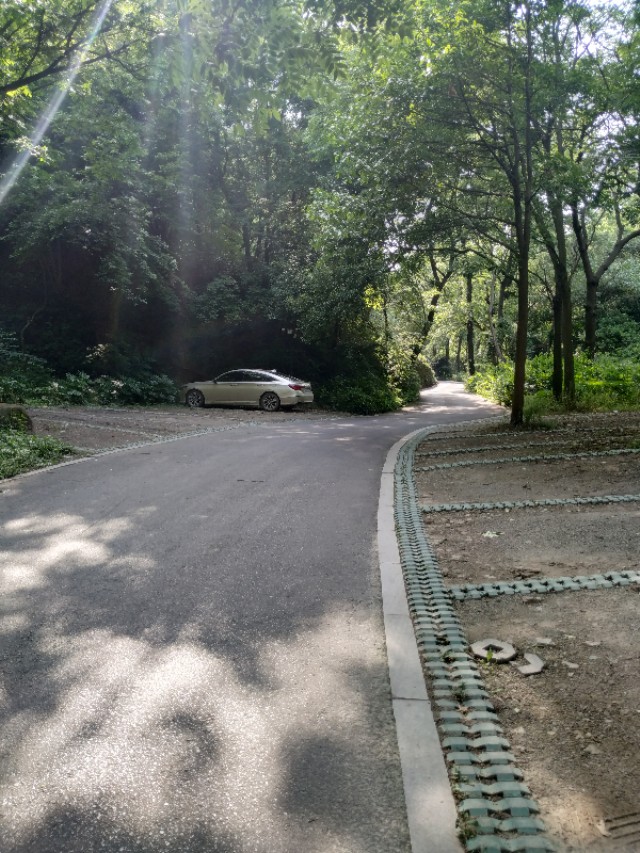 杭州西湖茶山游玩攻略,杭州西湖边游玩