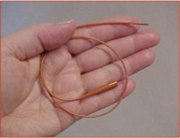 幼猫胃管使用方法,庄园猫宫