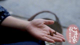 蚕丝的内幕,蚕丝被内幕曝光