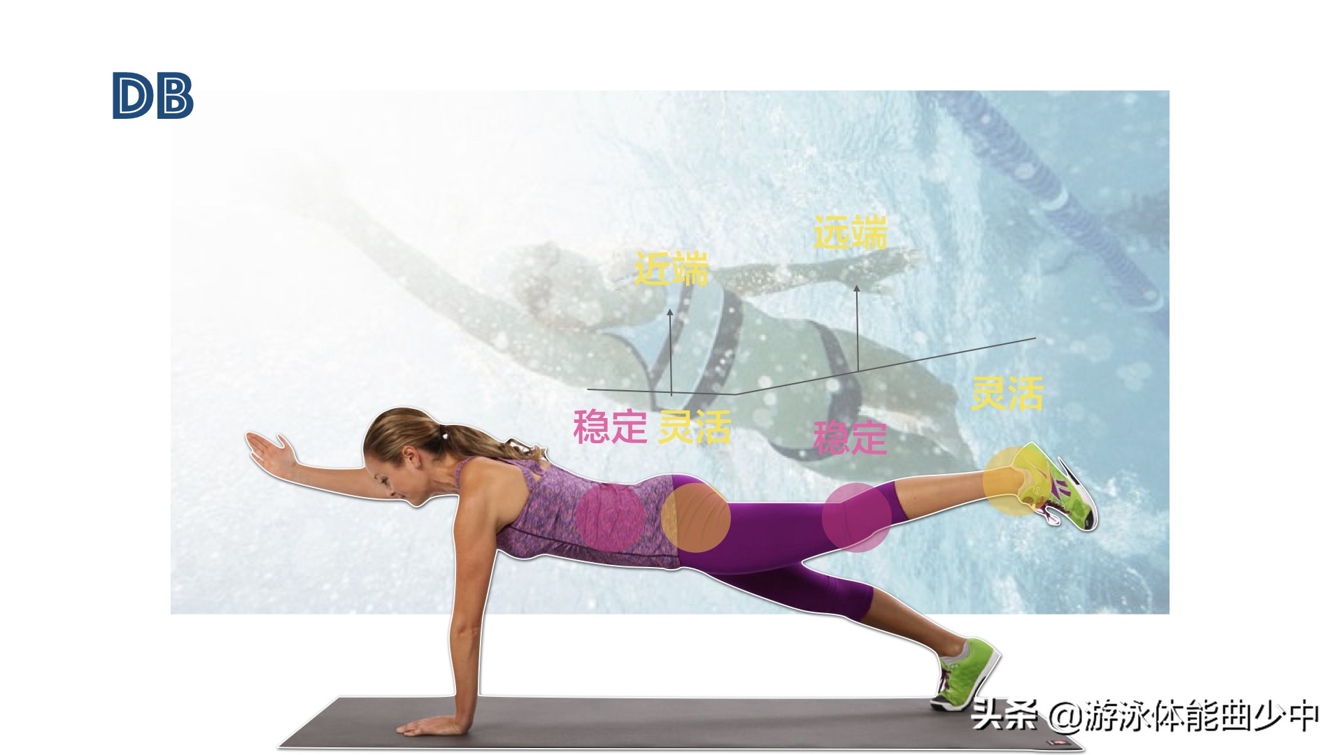为什么游泳时要收紧核心？近端稳定造就远端的出色技术