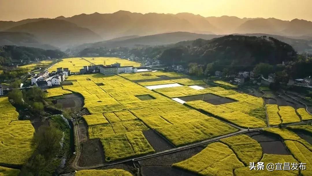 2021宜昌春季休闲农业精品线路公布！