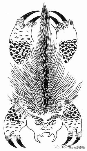 不可思议的神秘动物,不可思议的动物