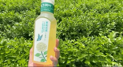 立秋都来了，可夏天的它们好难戒掉……