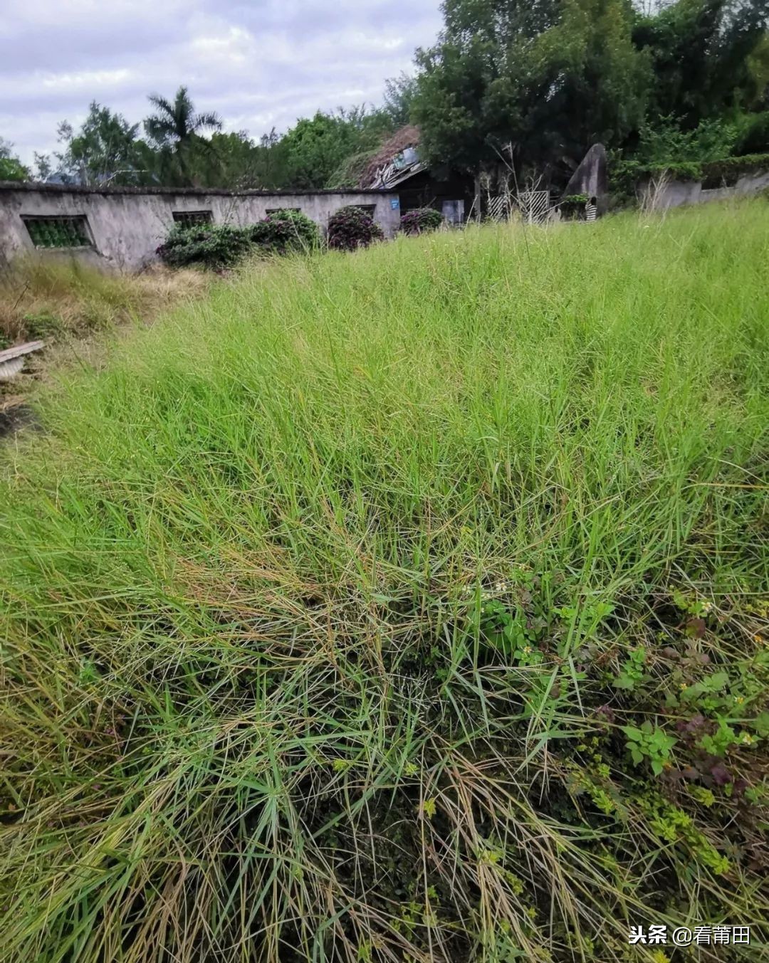 莆田快乐农庄以前的样子,莆田快乐农庄建什么