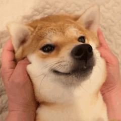 国庆节出门旅游必带的8件神器,国庆出游带什么好物