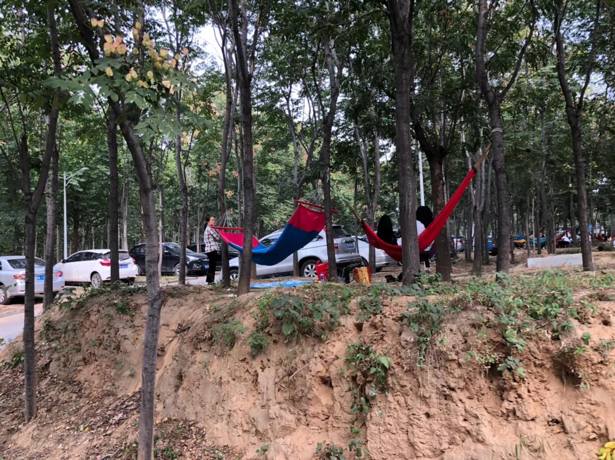 郑州免费公园树木园,郑州树木园开放