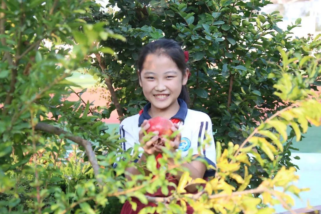 你的满意是我们前进的动力下一句,您的满意就是我们不断前行的动力