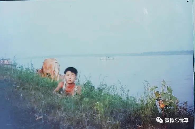 一曲《襄河水》一条流淌在心底的河没有大海的澎湃却从不曾忘记