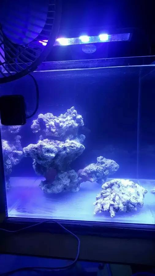 大学生1000元在宿舍开缸,还贴“禁止手碰”的标识,担忧舍友关系