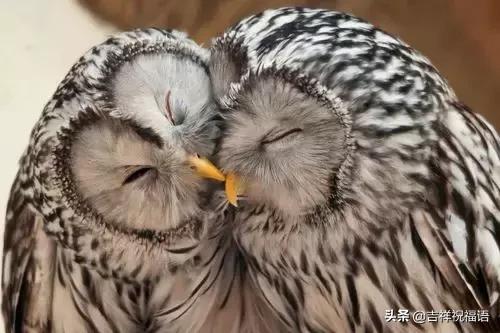 今天是6.4，夫妻日，百年一遇的吉祥日子，送给天下所有的夫妻