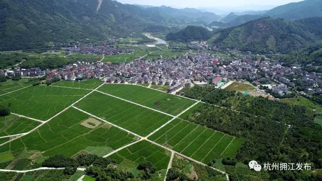 震撼!钱塘江畔出现巨型画作,有28个足球场这么大!