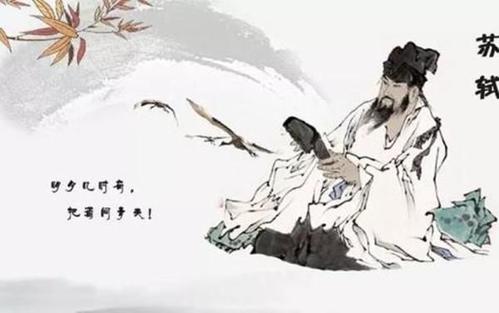 人生感悟的经典句子苏轼,人生到处知何似飞鸿踏雪泥哲理