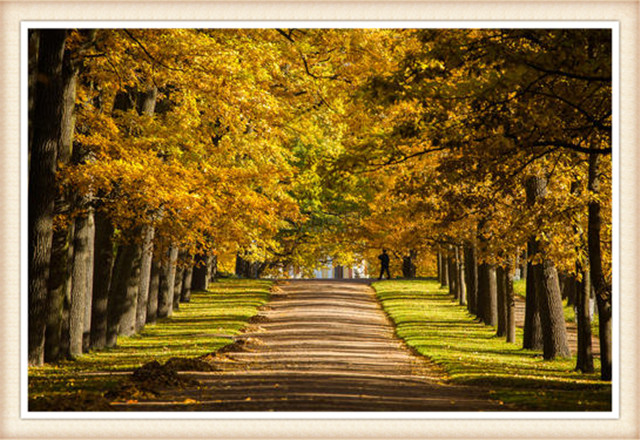 最漂亮的园林景观,100款最美园林设计图