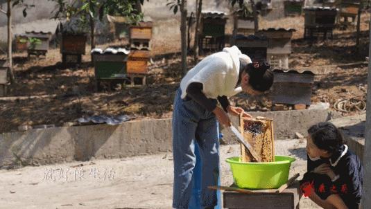 老贵阳烤鸡方法与技巧,炭火烤鸡用什么配料最好吃