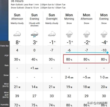 买加拿大鹅的人都是什么心理,加拿大鹅到底值不值得买