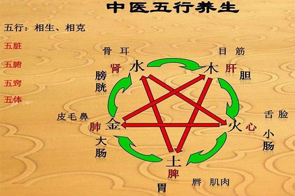 中医五行学说与五脏视频,中医的五行与五脏对应关系是什么