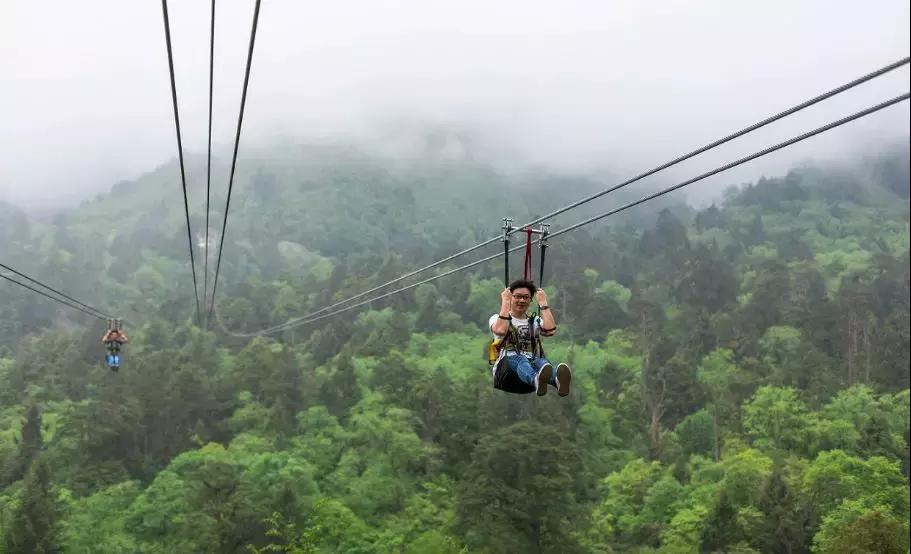 上焦山看云海，奇趣动物之旅，这个地方离成都只有4个小时车程