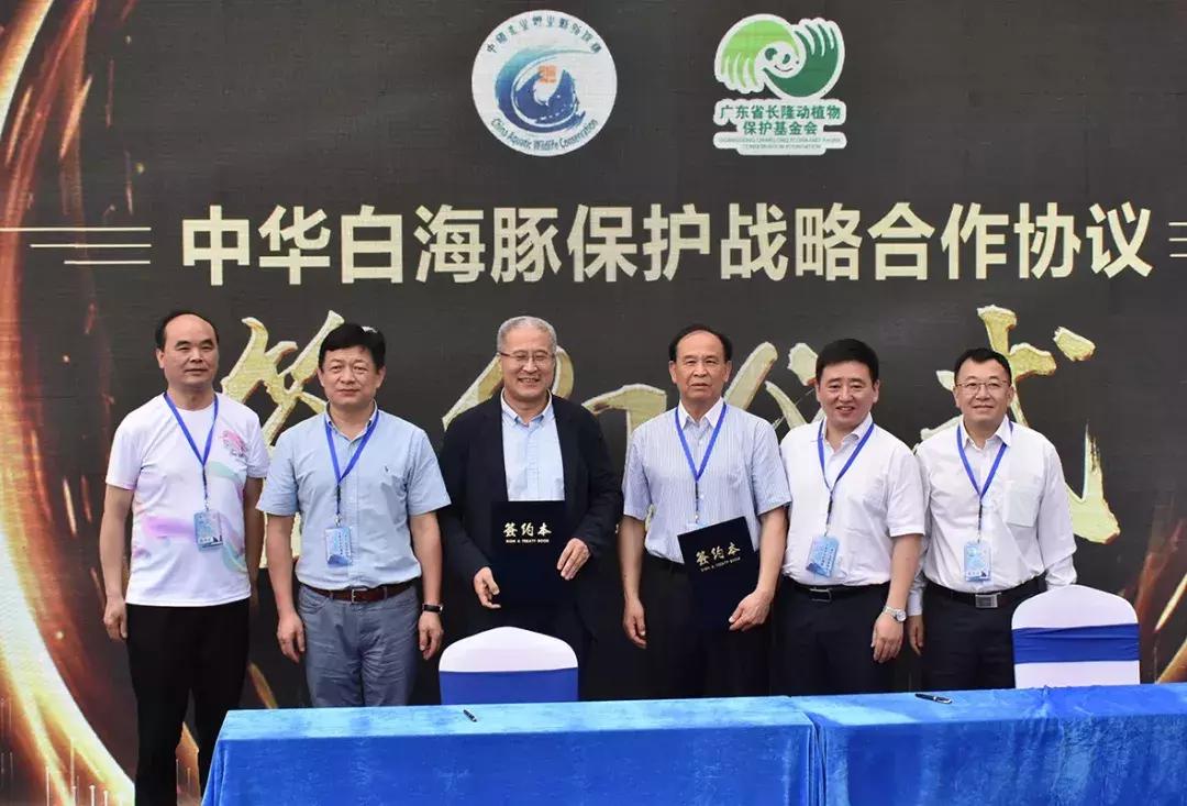 保护中华白海豚的必要性,保护中华白海豚为海洋发声