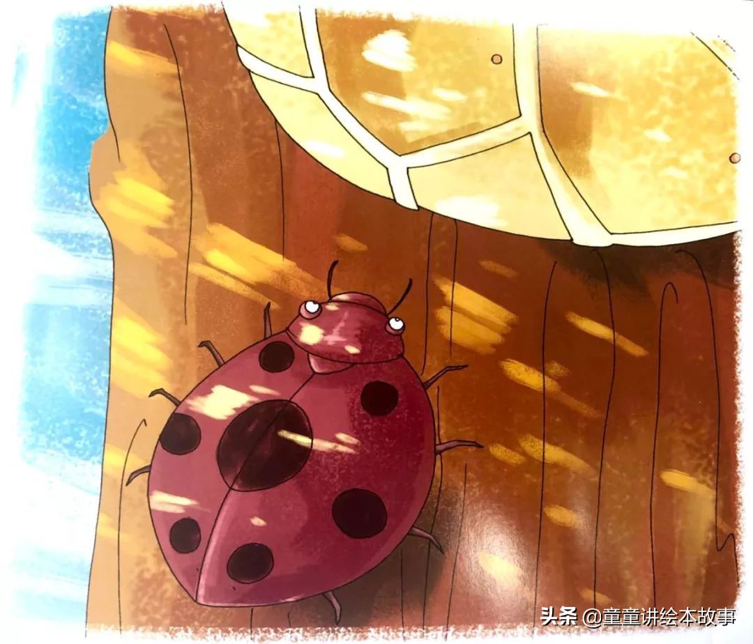 勤劳的小蜜蜂绘本故事完整版,勤劳小蜜蜂绘本故事