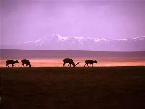 80岁前一定要去的中国的100个地方！你去过几个了？