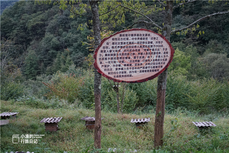 深藏在秦岭中的山水秘境,秦岭山中藏了一个世外桃源