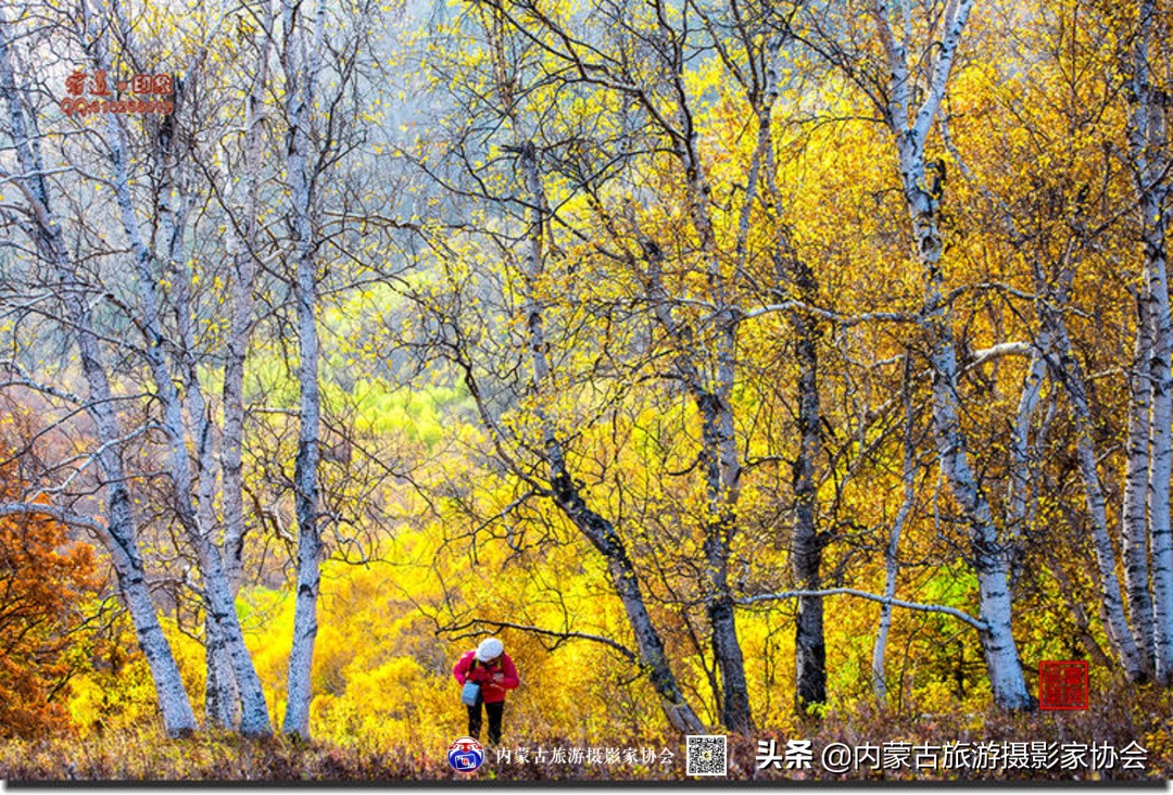 那山那水那滋味,那山那水那份爱