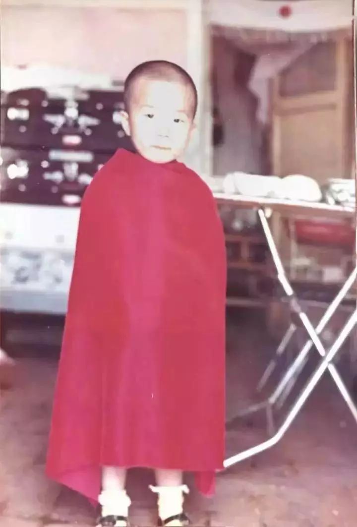 李诞懒蛋,李诞懒惰合集