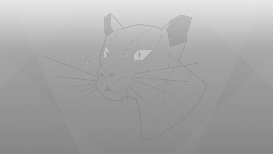 ubuntu20.04的lts版本什么意思,ubuntu20.4.6lts系统安装