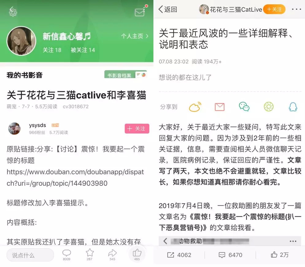 从回忆小马甲到花花与三猫，宠物网红进化论