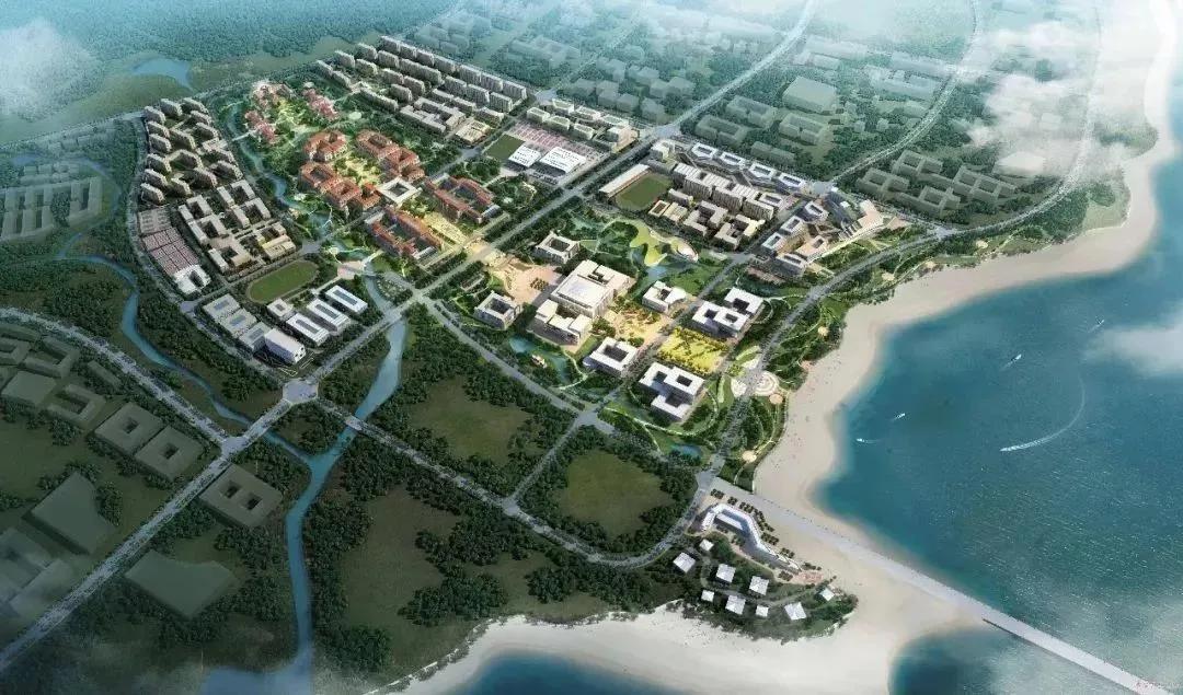 青岛市最好的中学和小学,青岛哪些好的中学