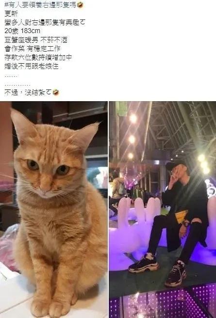 养猫后儿子鼻过敏，妈妈心生一计：不如你搬出去住吧！