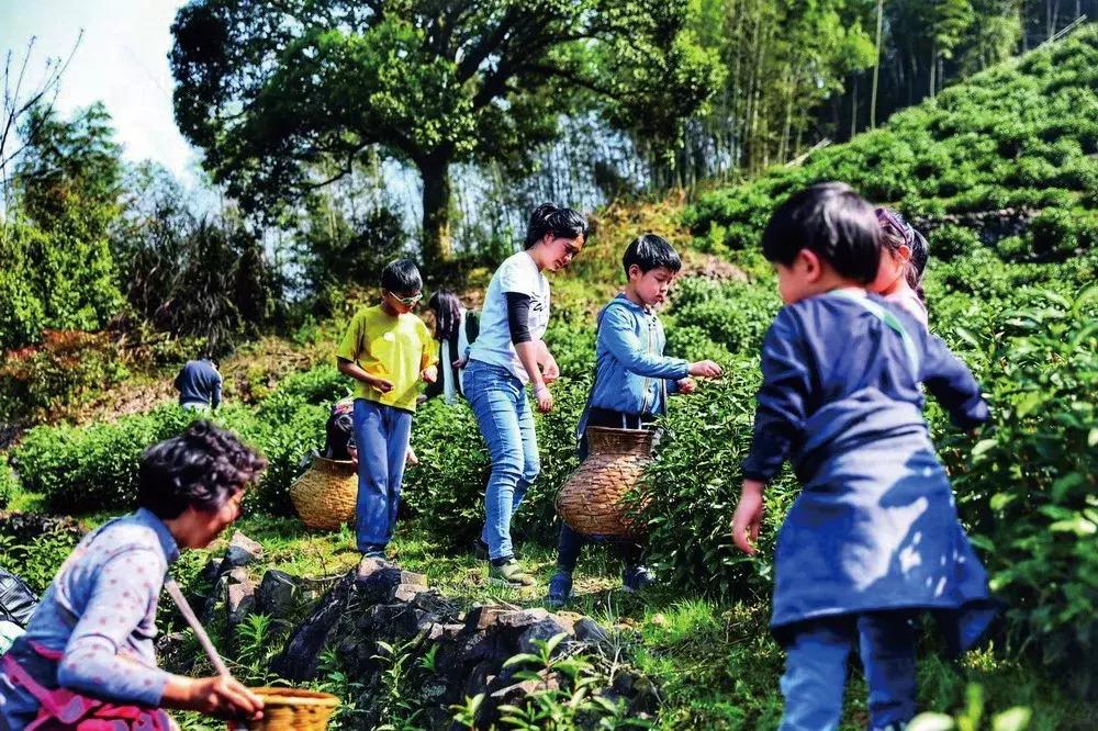 夏日旅游玩水,这个夏天我们来一场玩水的旅行