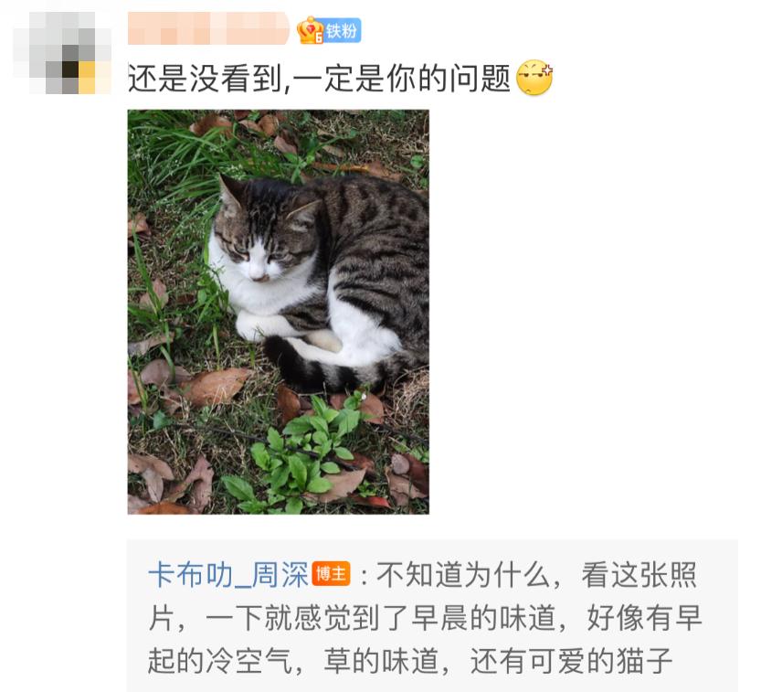 当年凭一首歌爆红的男星,最被低估的一个男歌手