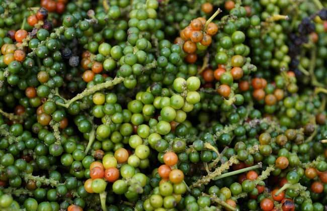 大唐宰相家搜出胡椒,为何要被处以死刑?