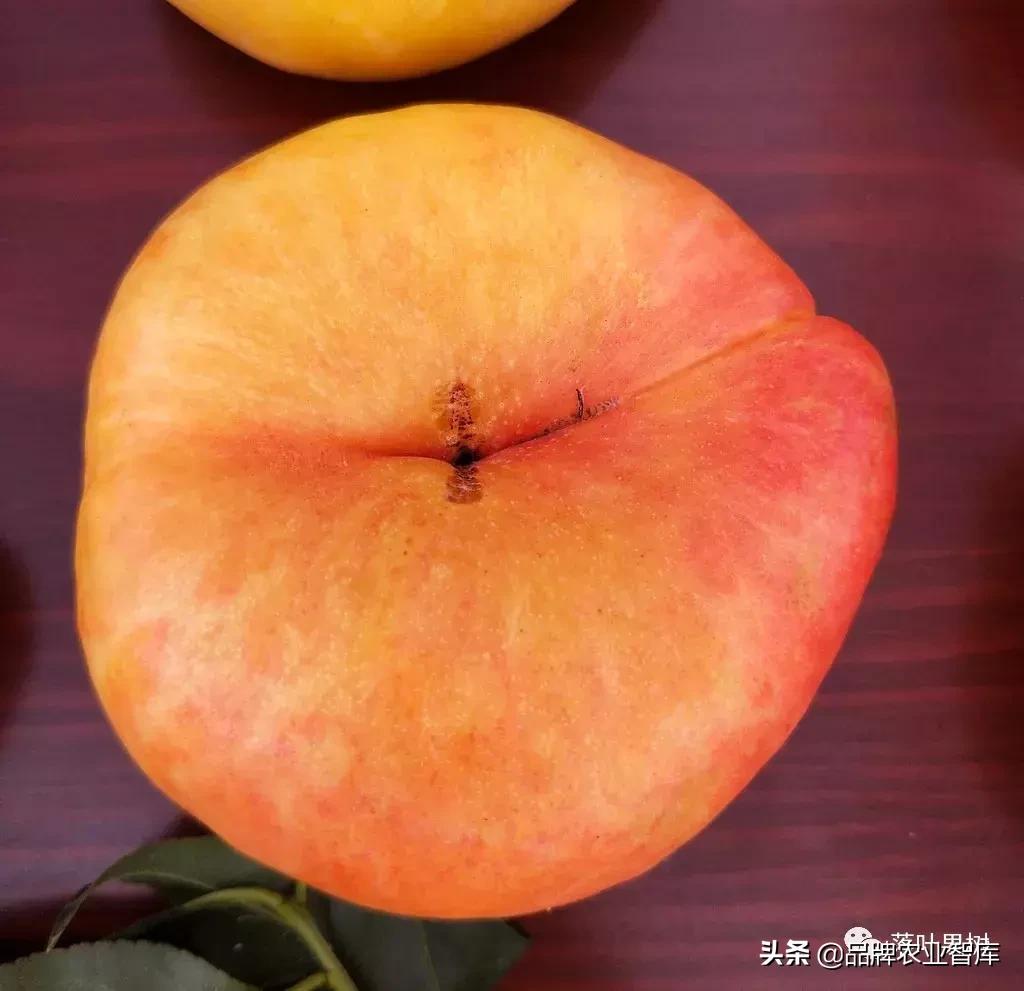 黄蟠桃和黄油蟠桃哪个更好,黄油蟠桃2019