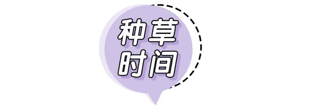 板鞋侧边跟磨损怎么修复,板鞋鞋底偏磨修复贴
