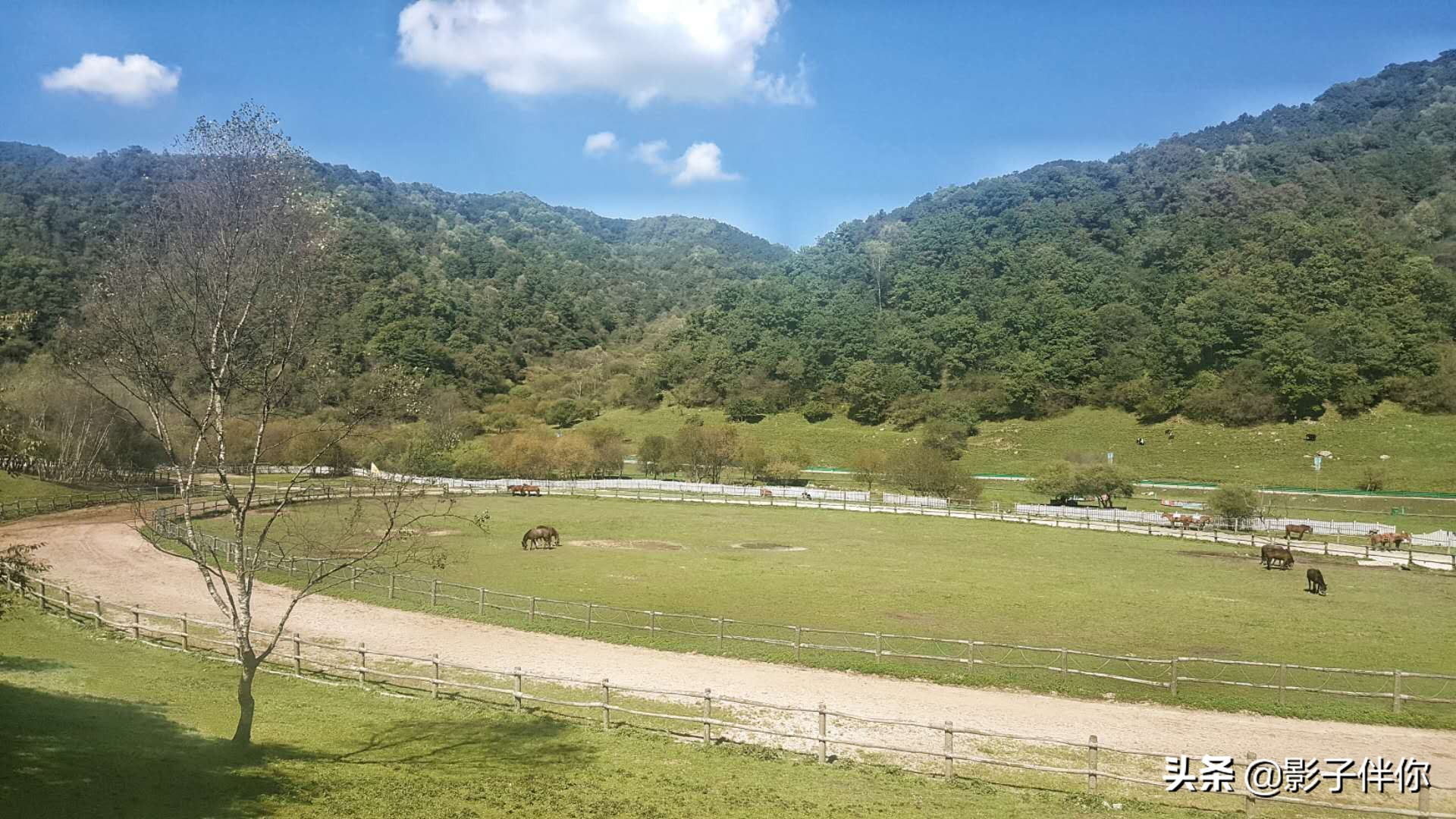 宝鸡大水川,宝鸡大水川好不好玩