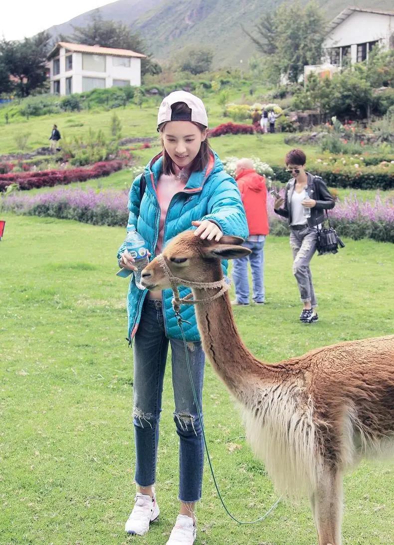 乘风破浪的姐姐金晨私下打扮,乘风破浪一初舞台金晨