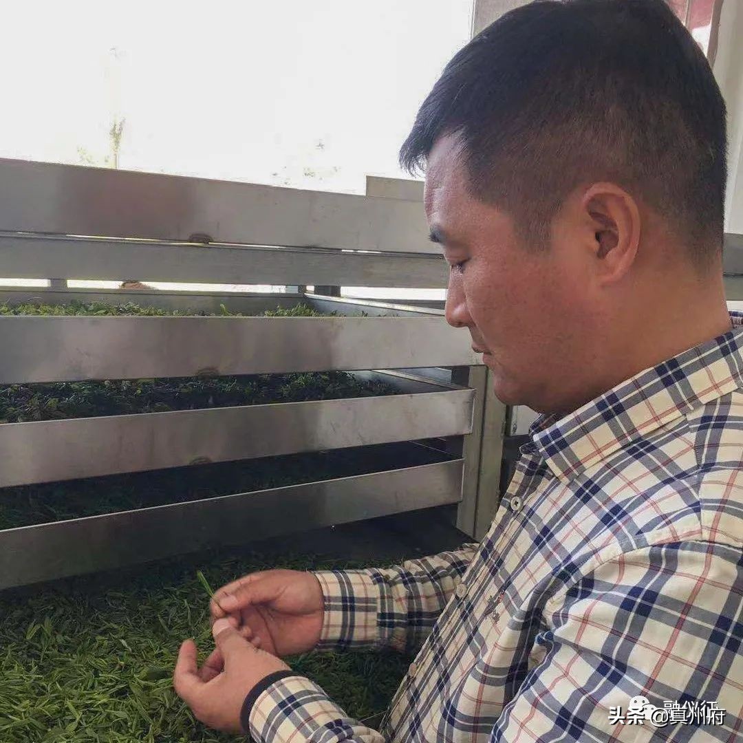 扬州7人获全国表彰,仪征奖励人员名单