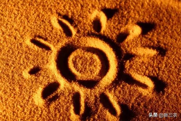 别被骗了这些东西是致癌的,这些致癌食物要记住