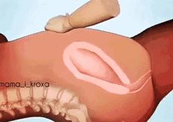 手剥胎盘有多痛可以打麻药不,手剥胎盘会肚子疼吗