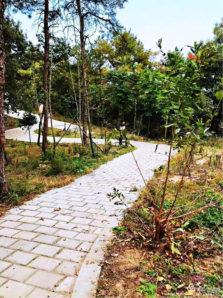 心途漫漫,心遥路漫漫的文章