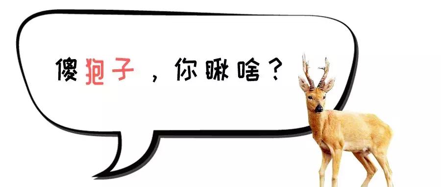 各地骂人的方言,各地骂人方言大集合