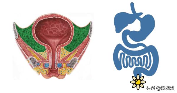 精油在人体中的旅程