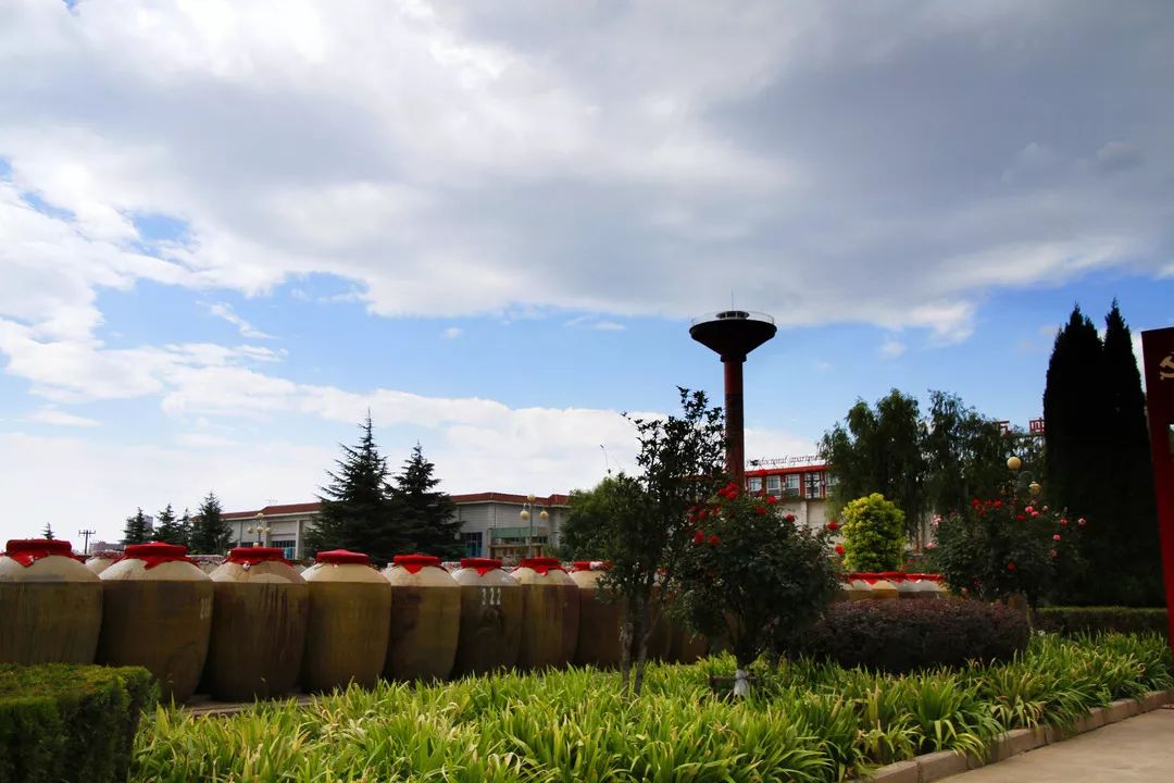 美文美酒：我对仰韶酒厂的深刻印象