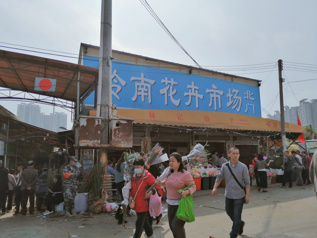 广州岭南花卉市场订花,广州岭南花卉市场攻略